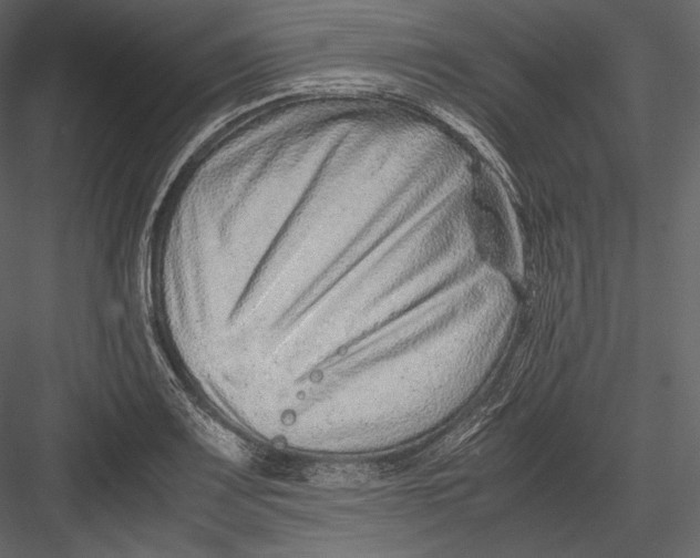 X0000082951083200702222307