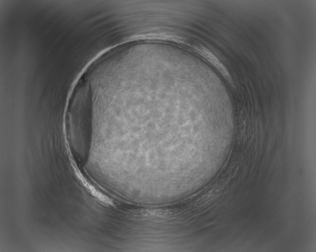 X0000082951084200702222307