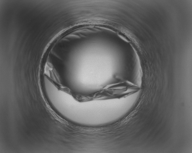 X0000082951085200702222307