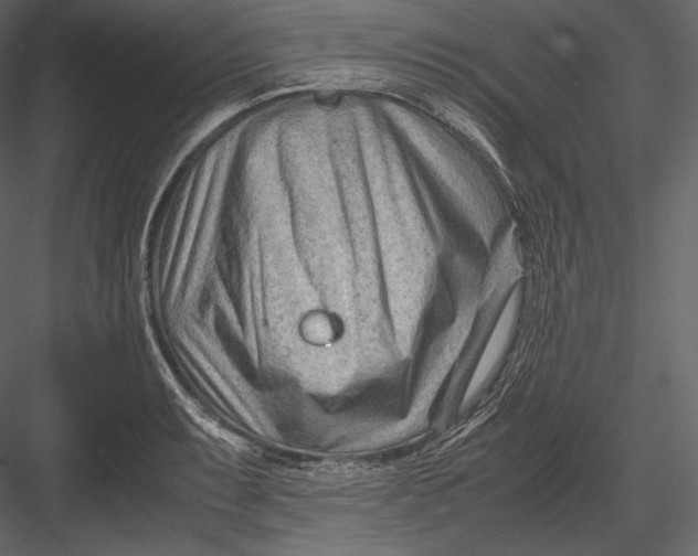 X0000082951087200702222307