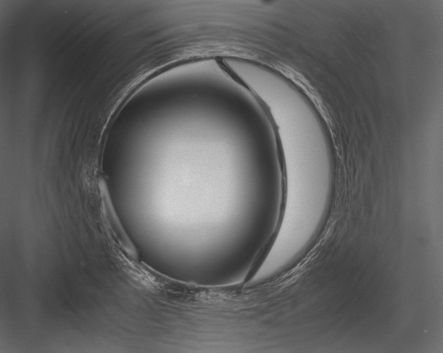 X0000082951089200702222307