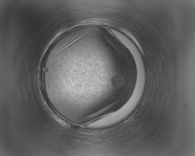 X0000082951091200702222307