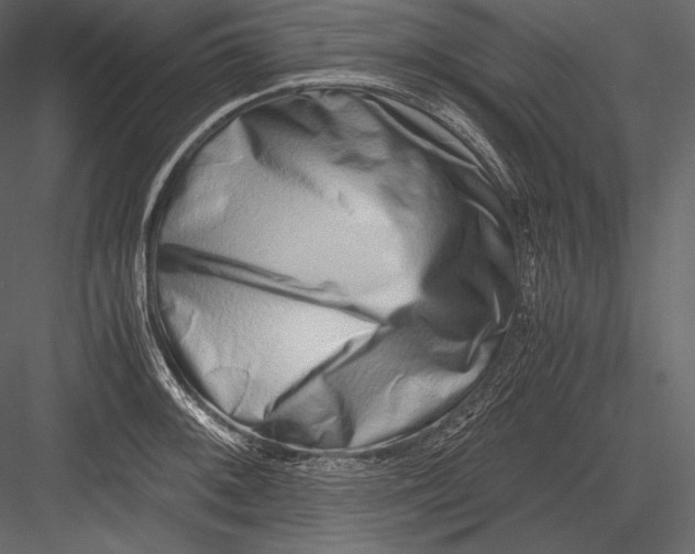 X0000082951092200702222307