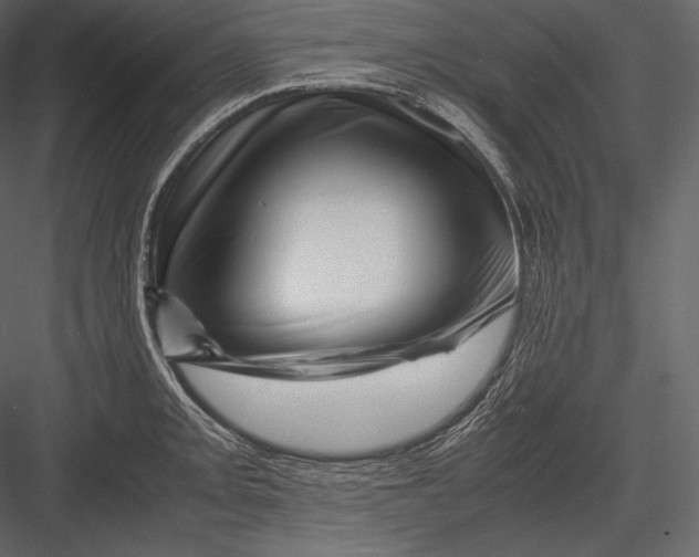 X0000082951093200702222307