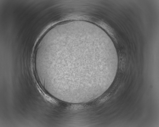 X0000082951094200702222307