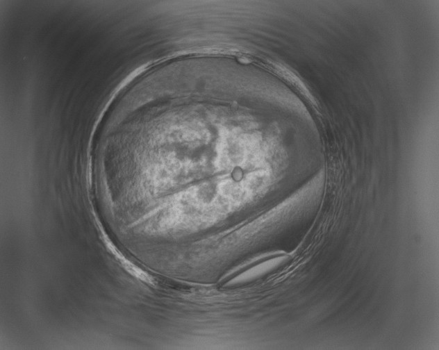 X0000082951095200702222307