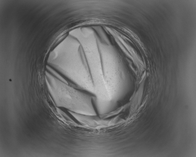 X0000082951097200702222307