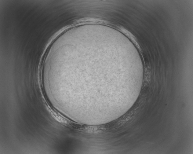 X0000082951098200702222306