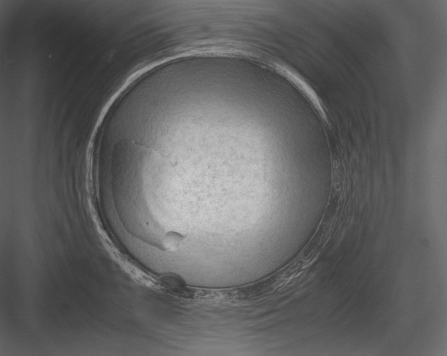 X0000082951099200702222306