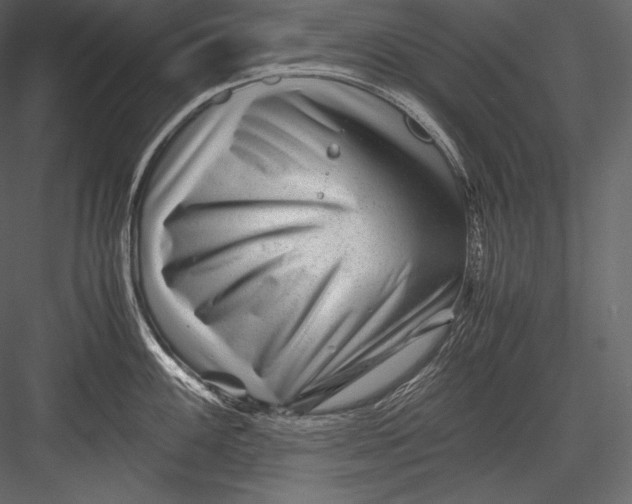 X0000082951100200702222306