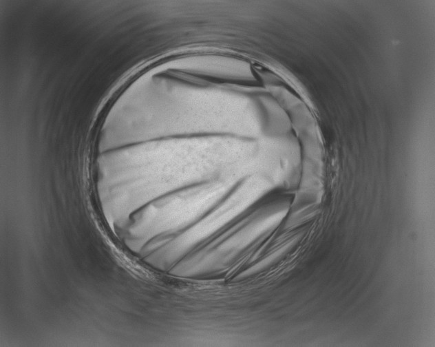 X0000082951101200702222306