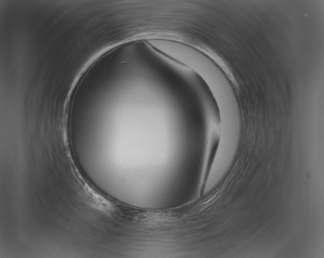 X0000082951102200702222306