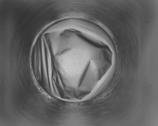 X0000082951104200702222306