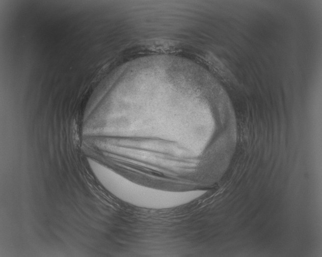 X0000082951106200702222306