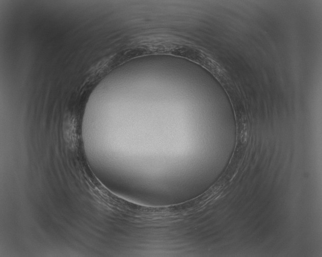 X0000082951108200702222306