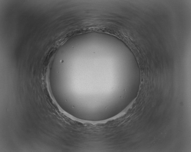 X0000082951109200702222306