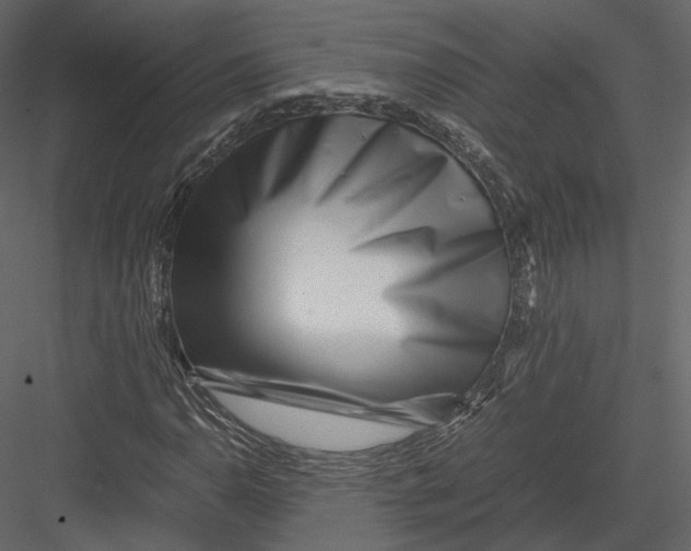 X0000082951110200702222306