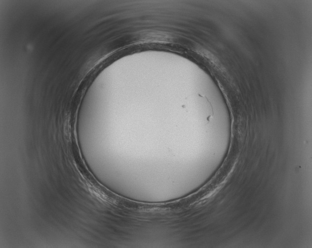 X0000082951113200702222306