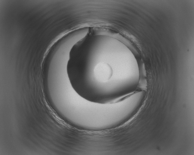 X0000082951114200702222306