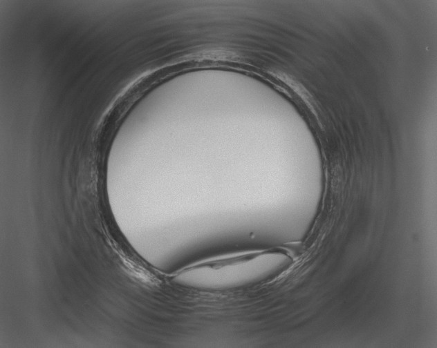 X0000082951115200702222306