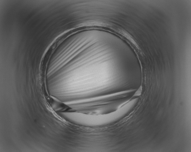 X0000082951116200702222306