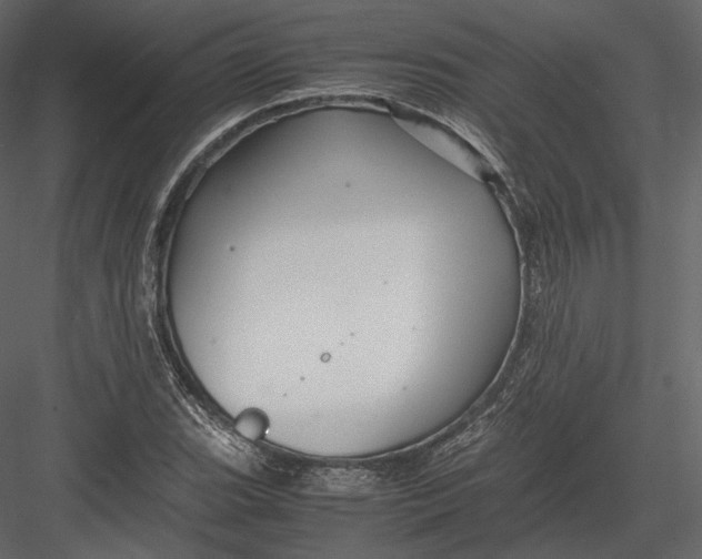 X0000082951119200702222306