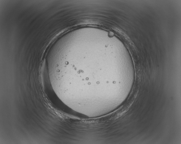 X0000082951121200702222306