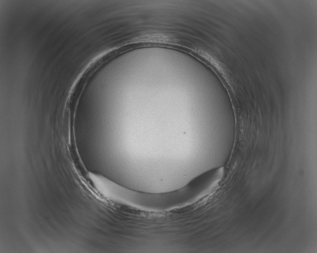 X0000082951123200702222306