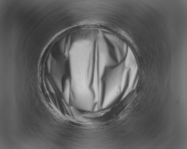 X0000082951124200702222306