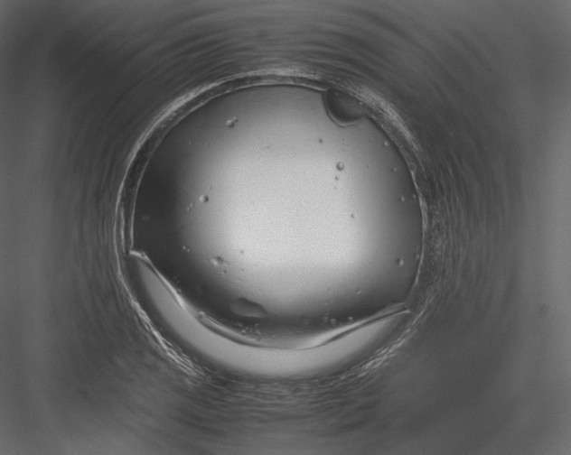 X0000082951125200702222306