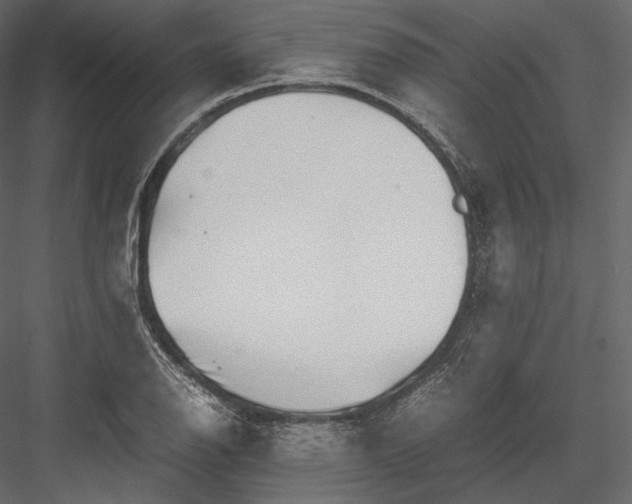 X0000082951126200702222306