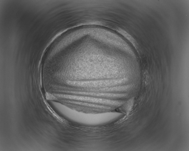 X0000082951127200702222306