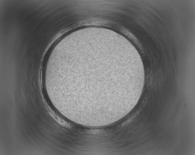 X0000082951130200702222306