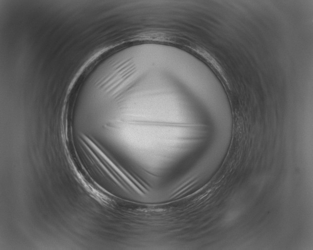 X0000082951131200702222306