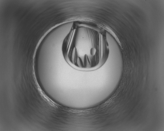 X0000082951132200702222306