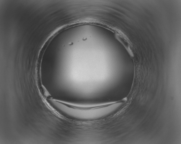 X0000082951134200702222306