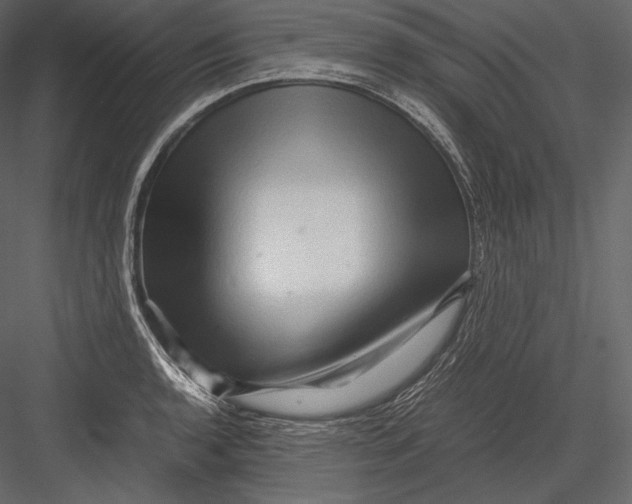 X0000082951136200702222306