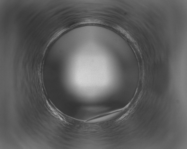 X0000082951137200702222306