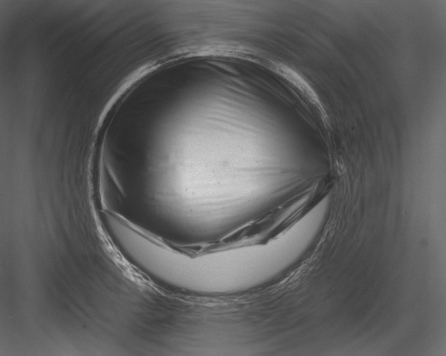 X0000082951138200702222306