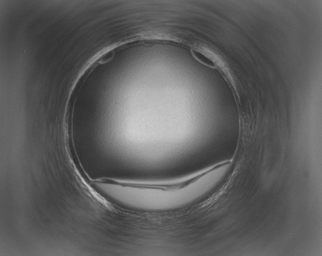 X0000082951141200702222306