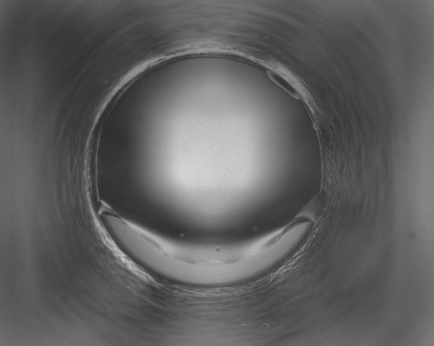 X0000082951142200702222306