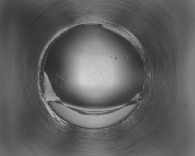 X0000082951144200702222306