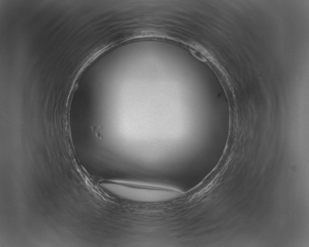 X0000082951145200702222306