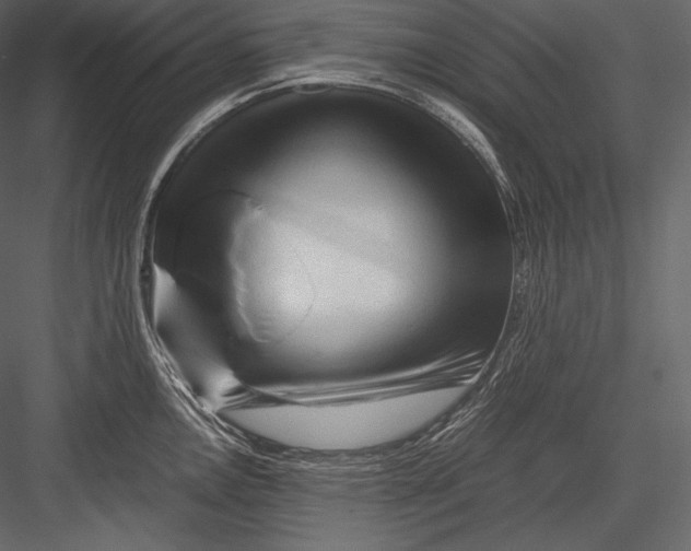 X0000082951146200702222306