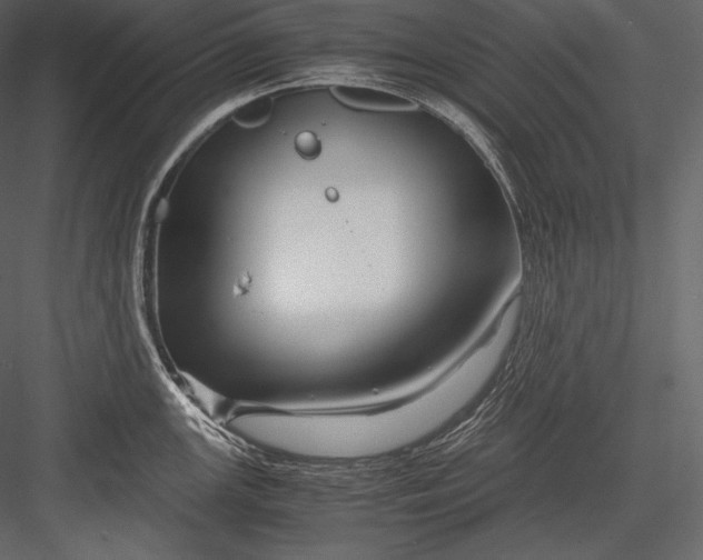 X0000082951147200702222306