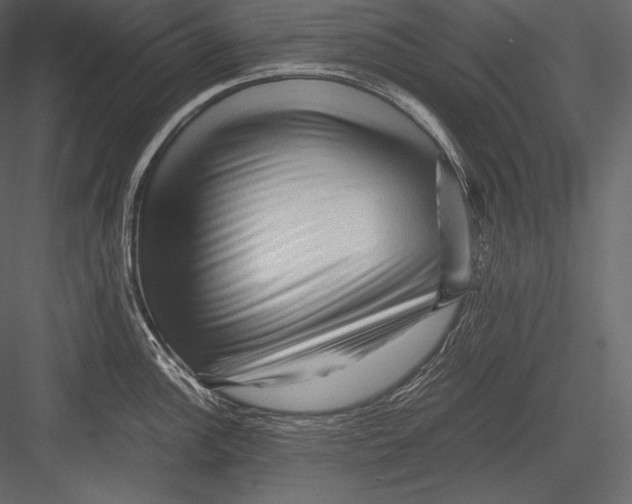 X0000082951148200702222306