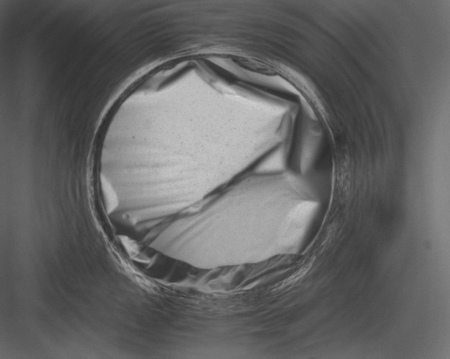 X0000082951149200702222306