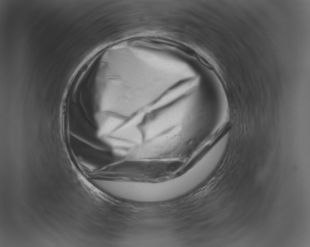 X0000082951151200702222306