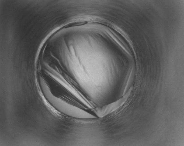 X0000082951152200702222306