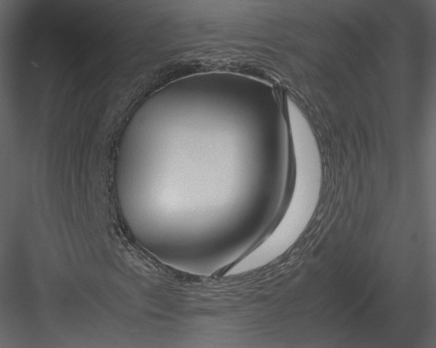 X0000082951153200702222306